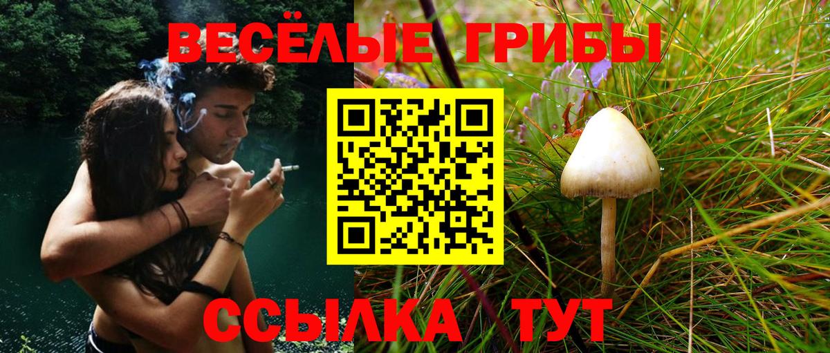 Галлюциногенные грибы MAGIC MUSHROOMS  Вход с VPN  Галлюциногенные грибы Psilocybine cubensis  Волжск 